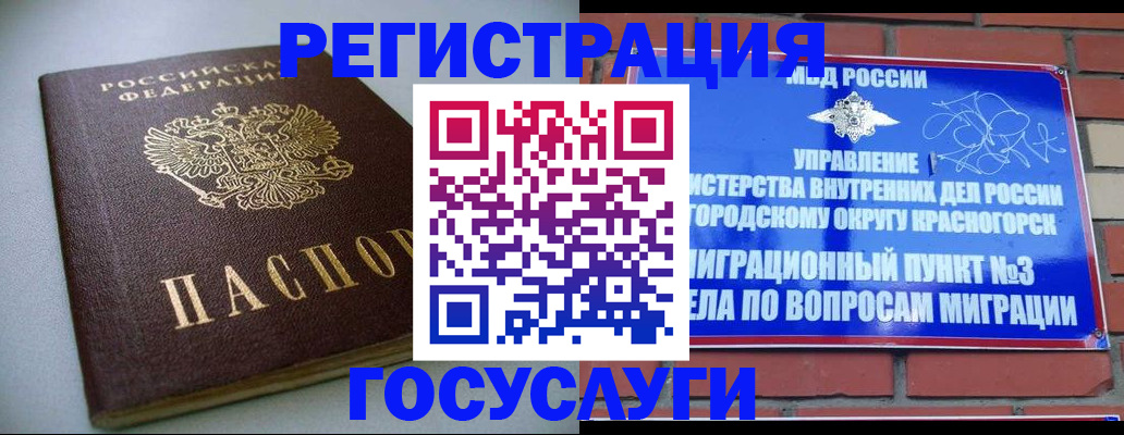 временная прописка в Новодвинске